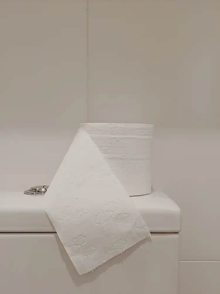 廁所水箱 有一卷廁所紙在其上面 一個白色的廁所水箱,上面放著一卷白色的廁所紙,展示了廁所水箱的外觀