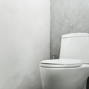 廁所板 toliet sear cover resized