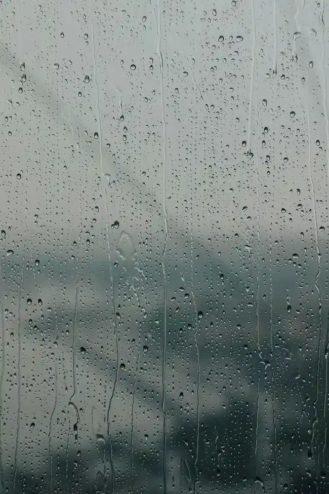 連場大雨你窗台漏水? 廉價窗邊滲水防漏神器讓家居安心過雨天! 1 windows leak article coversvwebp