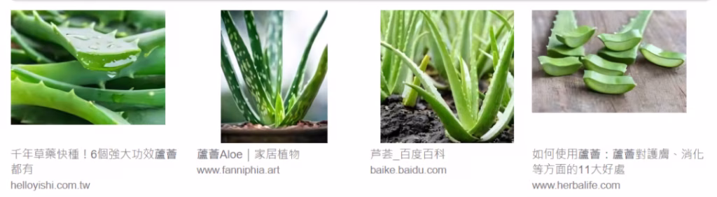 厕所 装修必备 - 芦荟杀菌植物，吸收毒素，空气清新，浴室 设计清洁之选”